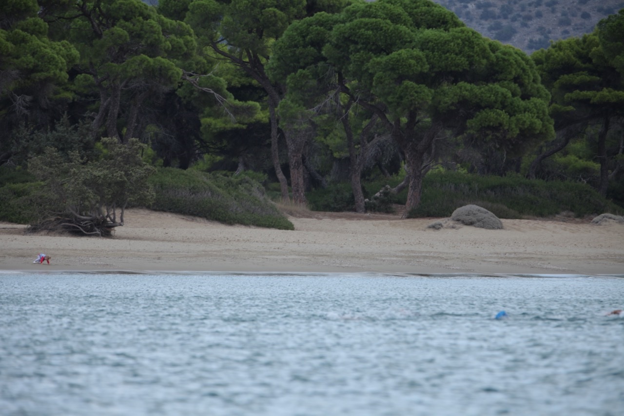 καθαρισμός σχινιά
