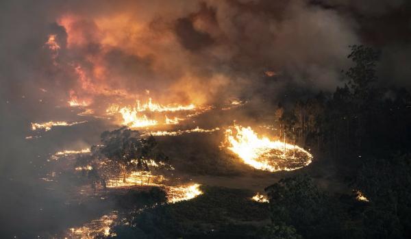 Στάχτη χιλιάδες στρέμματα στην Αυστραλία