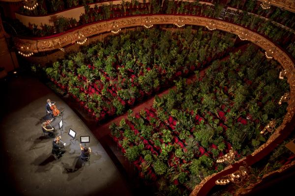 Βαρκελώνη, Ισπανία, 22 Ιουνίου: Μουσικοί κάνουν πρόβα στο Gran Teatre del Liceu. Όταν άνοιξαν οι πόρτες για την όπερα «Χρυσάνθεμα» του Πουτσίνι, οι 2.292 θέσεις του θεάτρου ήταν «πιασμένες» από φυτά και η παράσταση μεταδόθηκε live μέσω διαδικτύου.
