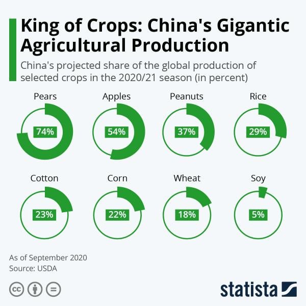Κίνα - Αγροτική Παραγωγή