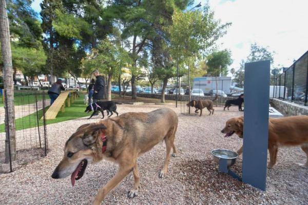 Πάρκο σκύλων