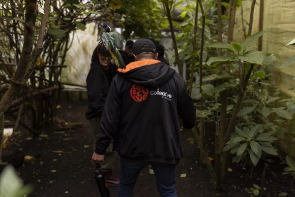 kaizen gaming
