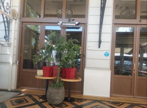 ΑΑΔΕ, φοροδιαφυγή πιτσαρίας, 2