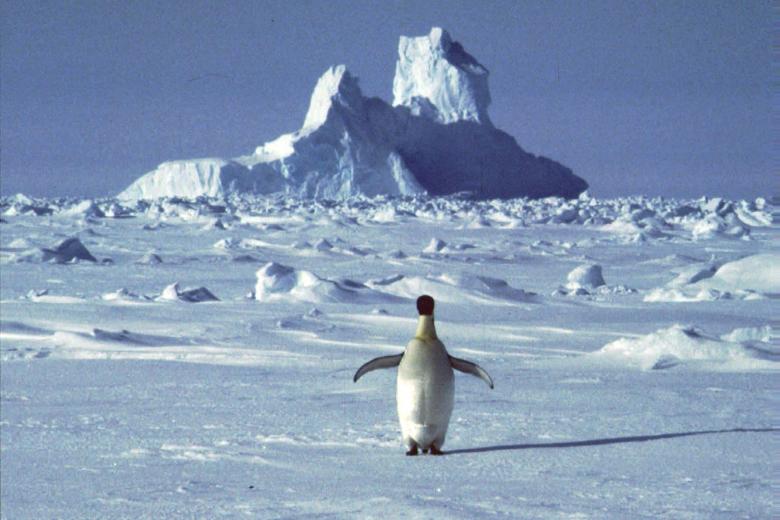 Πάγοι στην Ανταρκτική  / Πηγή: AP