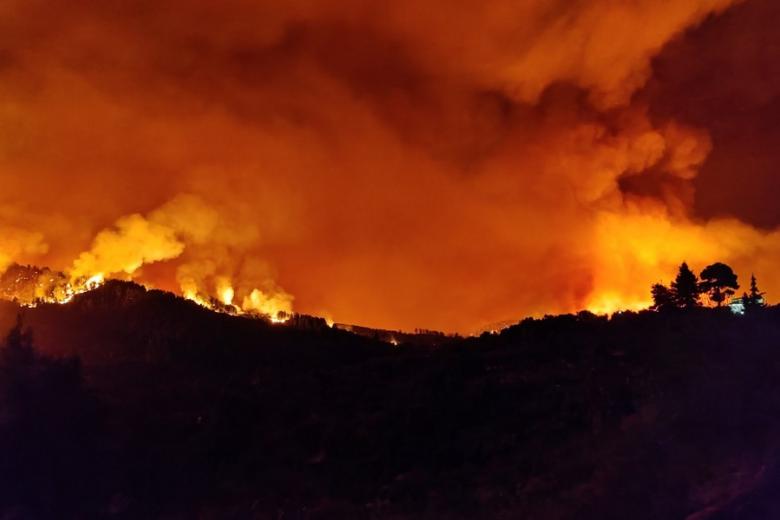 Πυρκαγιά στην Εύβοια / Πηγή: ΑΠΕ-ΜΠΕ