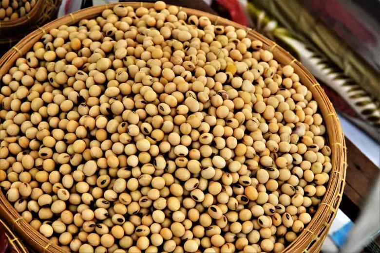 soya