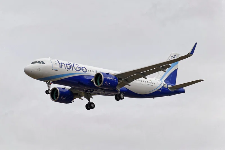 indigo