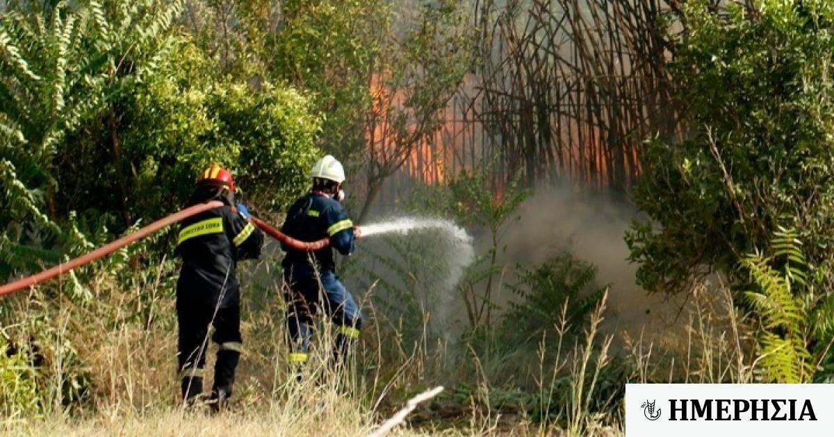 UE : Déploie 200 pompiers et du matériel pour renforcer la protection incendie