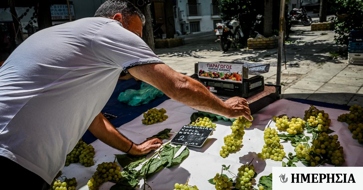 ΤτΕ για πληθωρισμό: Τρεις λόγοι γιατί είναι υψηλότερος στην Ελλάδα από την Ευρωζώνη