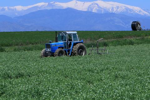 ΑΑΔΕ: Στον Εισαγγελέα οι πρώτες 50 μαζικές διαγραφές αγρών στο Ε9 - Λίστα με 3.000 «ιδιοκτήτες» για επιδοτήσεις ΟΠΕΚΕΠΕ