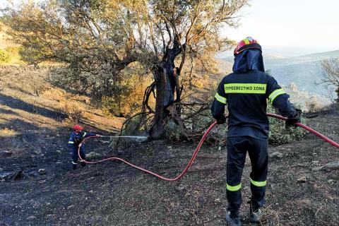 Πηγή: Eurokinissi