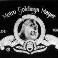 Metro Goldwyn Mayer