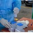 Ελληνικά rapid tests με βάση τα μονοκλωνικά αντισώματα / Πηγή: Intime