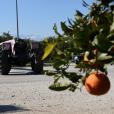 Πηγή: Eurokinissi