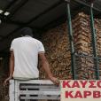 Καυσόξυλα / Πηγή: Intime