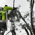 Κακοκαιρία Μήδεια: Χωρίς ρεύμα παραμένουν 30.000 νοικοκυριά