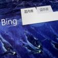 Bing / Πηγή: AP