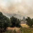Πυρκαγιά στην Εύβοια / Πηγή: Eurokinissi