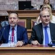 Χατζηδάκης, Στουρνάρας