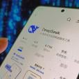 DeepSeek