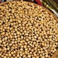 soya