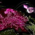 telekom