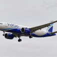 indigo