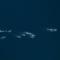 Messinia Open Water Swimming