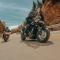 Harley-Davidson