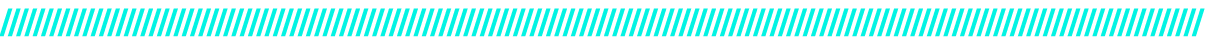 seperator